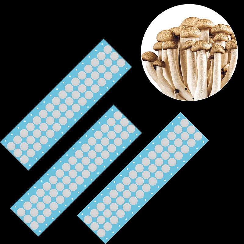 Culture Bottle Vent Cap ePTFE Membrane | Waterproof, Breathable, Sterile Protection culture bottle vent cap eptfe membrane waterproof, breathable, sterile protection (2)