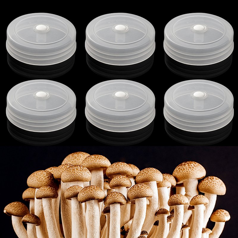 Case Study: ePTFE Vent Patch for Electronic Sensor Waterproof Protection culture bottle vent cap eptfe membrane waterproof, breathable, sterile protection (4)